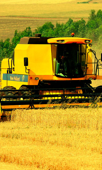 Aptos para New Holland